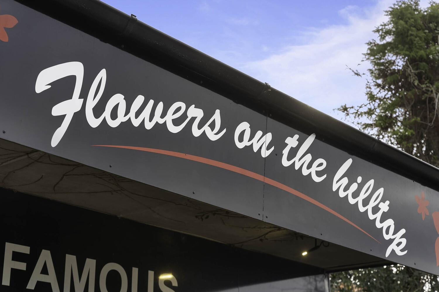 Flowers On The Hilltop Web3 Kakapo Business Sales