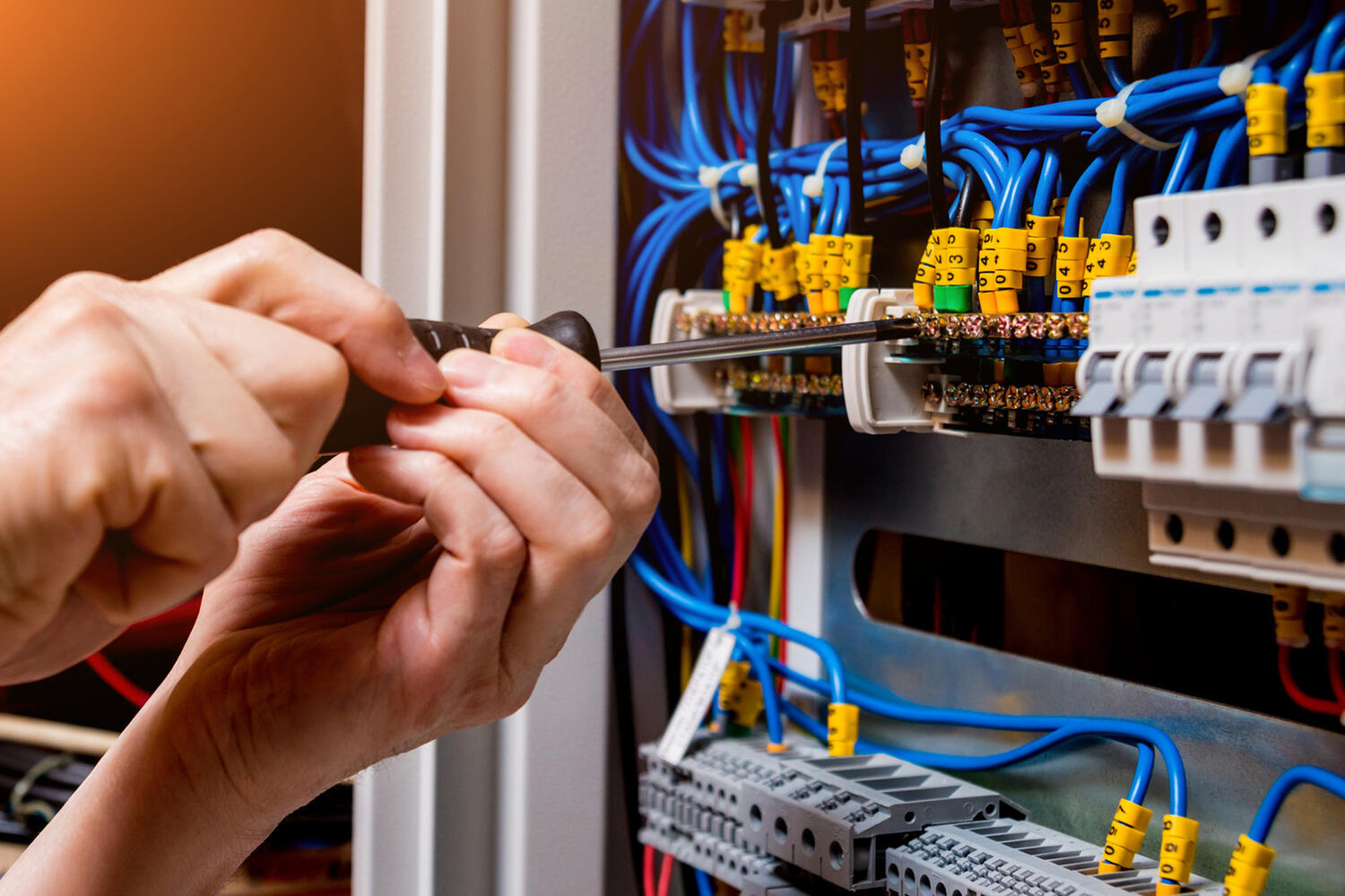 MCW Electrical Web1 Kakapo Business Sales