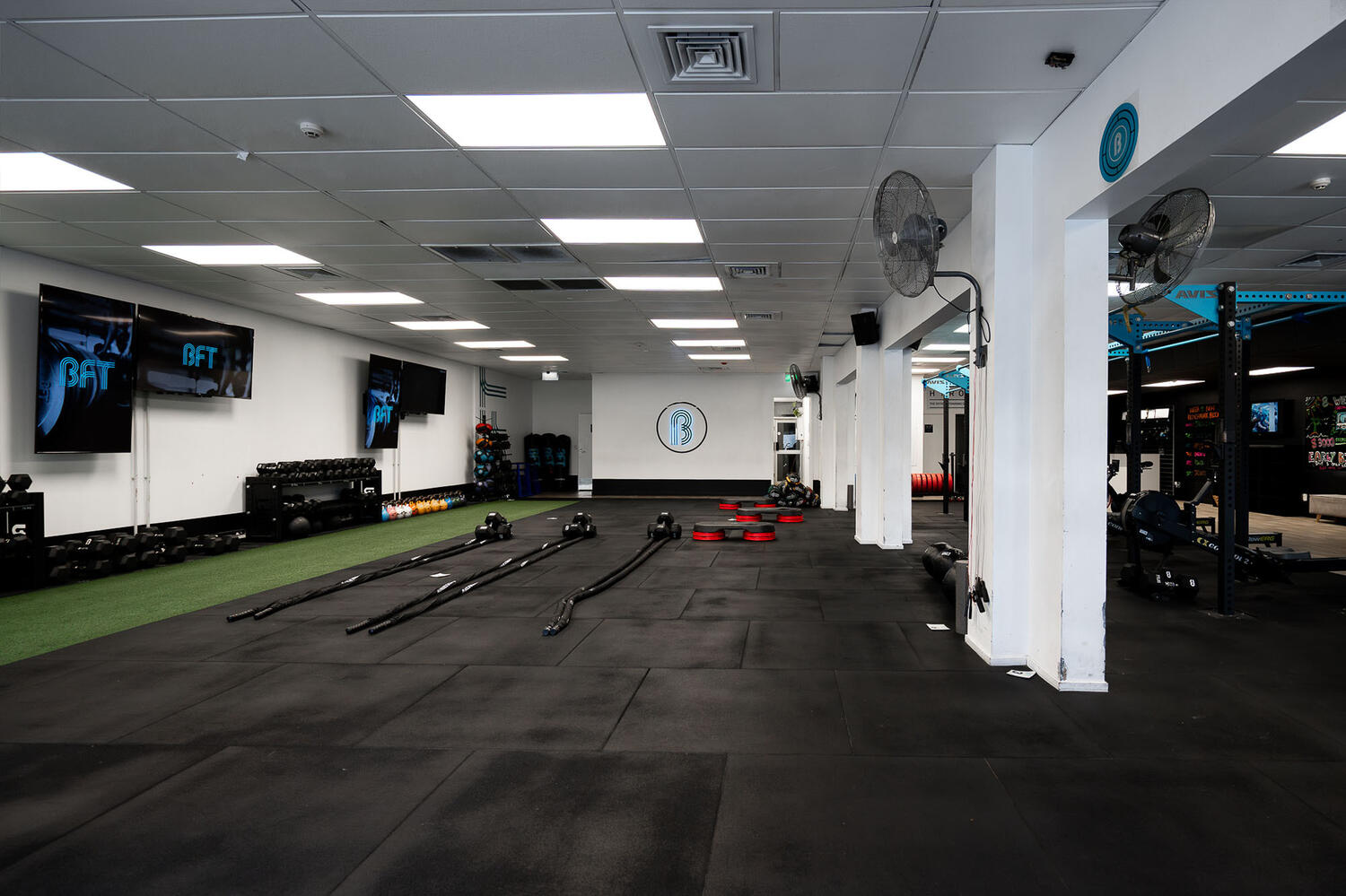 BFT Browns Bay Web6 Kakapo Business Sales