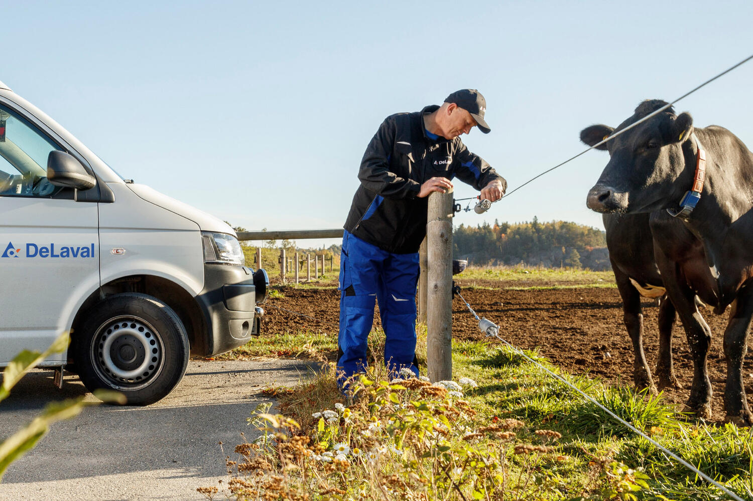 Northern Dairy Web2 Kakapo Business Sales
