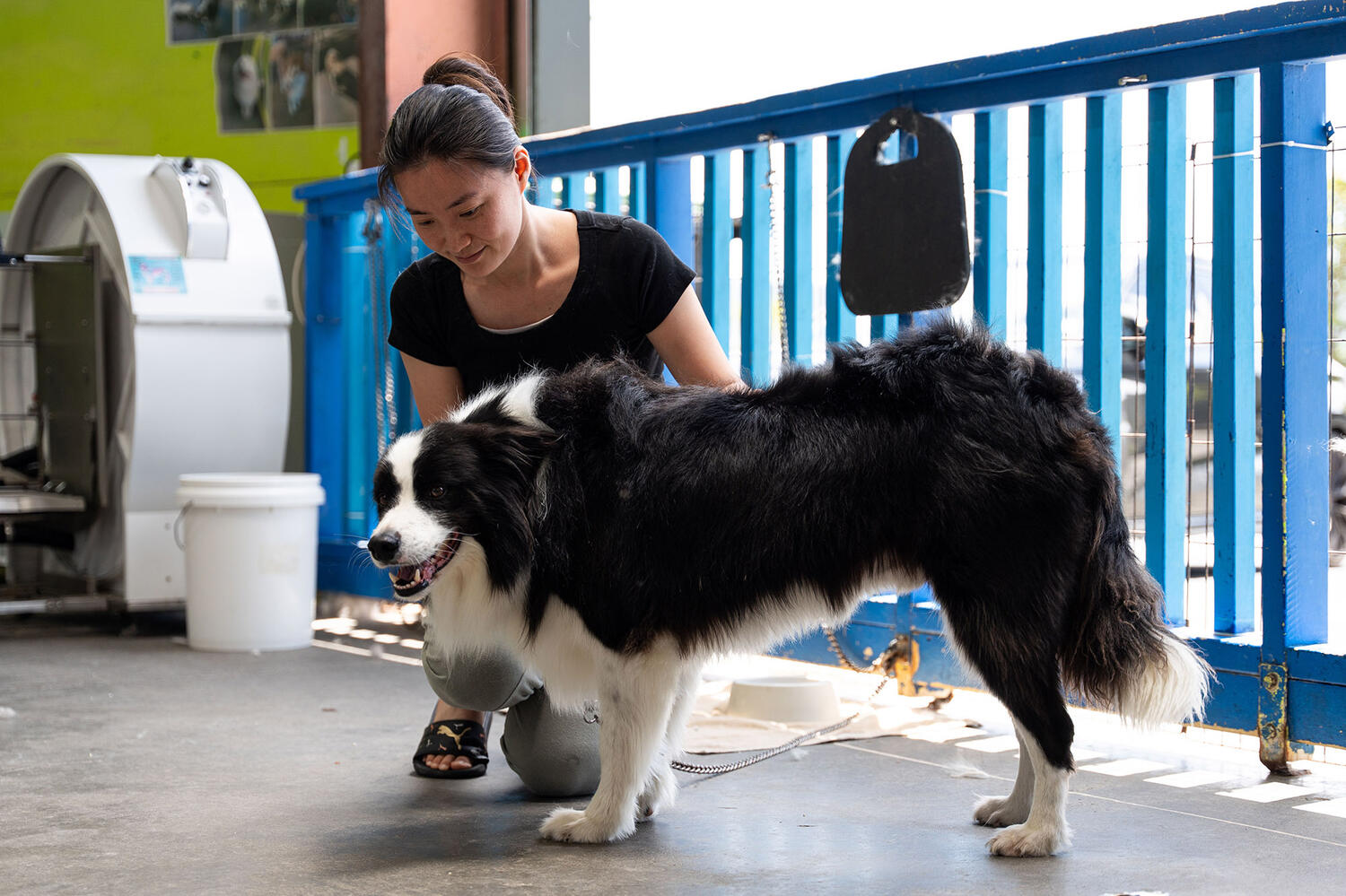 Nost to Tail Web1 Kakapo Business Sales