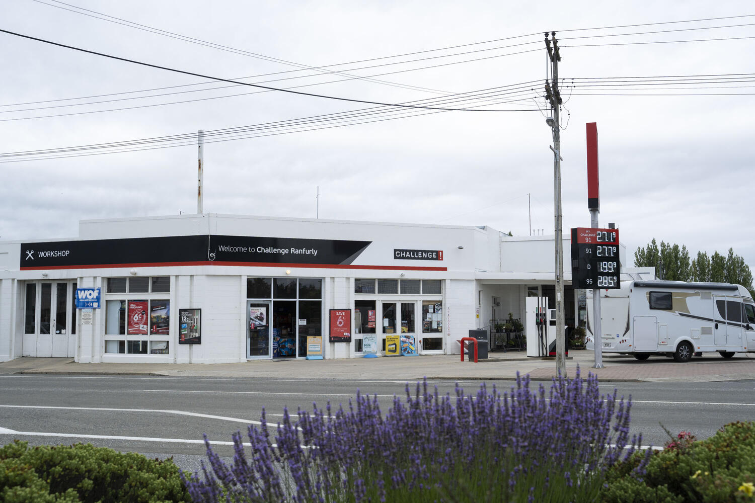 KAKAPO Challenge Ranfurly Dunedin NZ 008