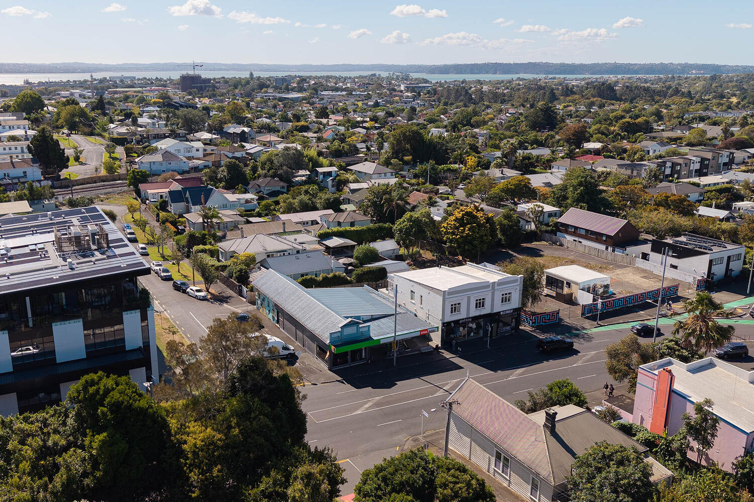 STIHL Mt Albert Web6 Kakapo Business Sales
