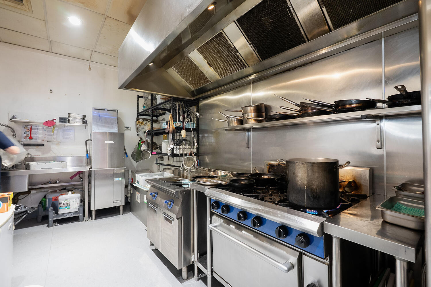 Bark Brews Web6 Kakapo Business Sales