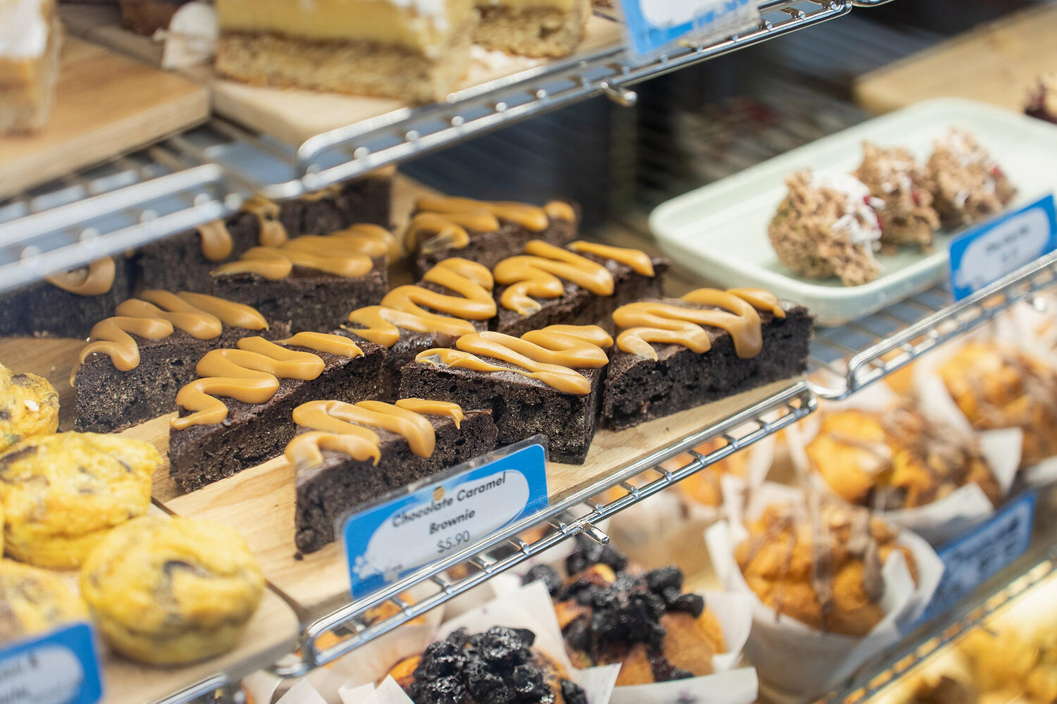 Bark Brews Web8 Kakapo Business Sales