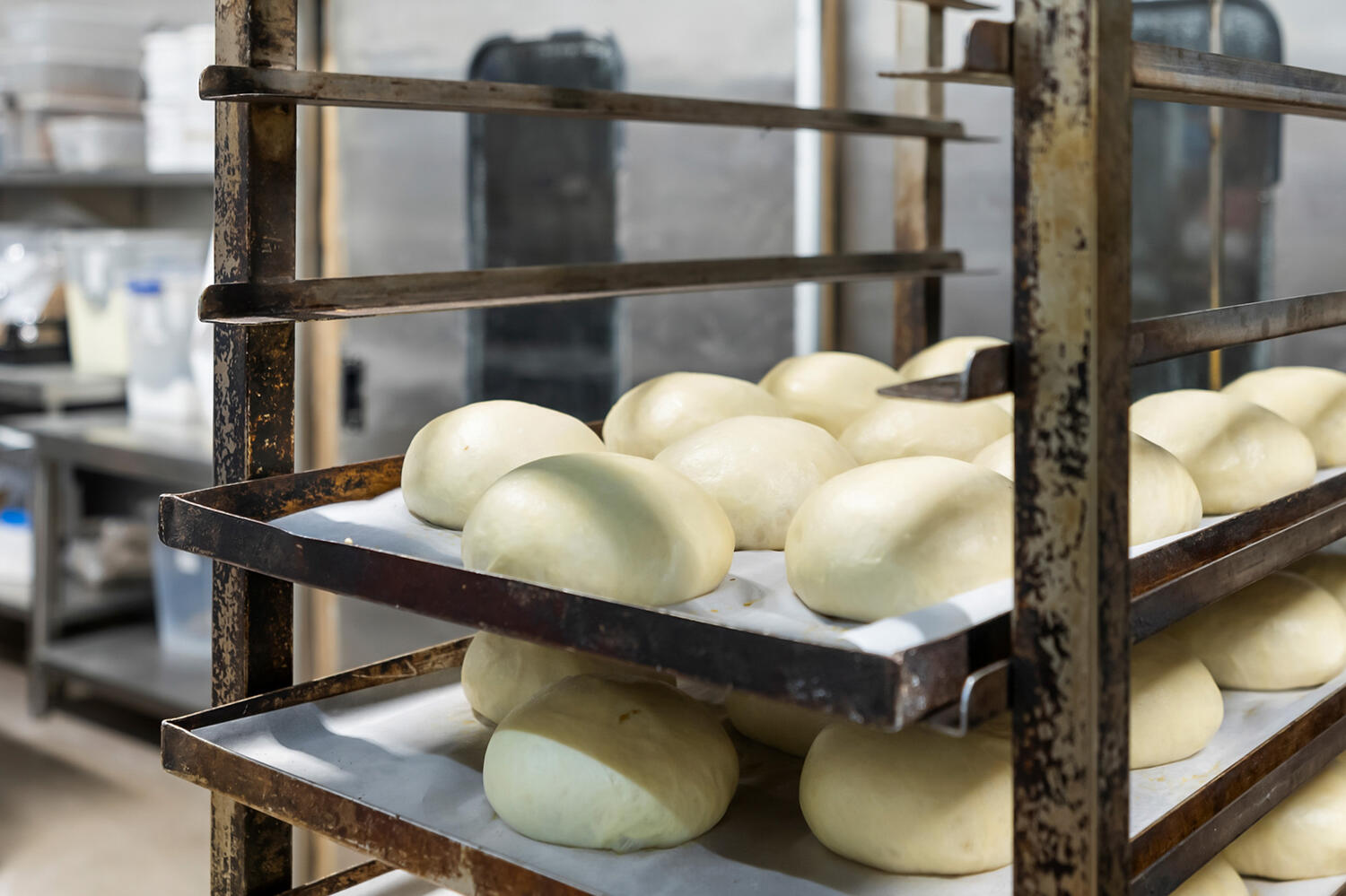 Dough Boys Web9 Kakapo Business Sales