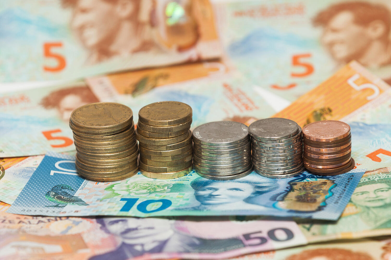 Taupo Accounting Web1 Kakapo Business Sales