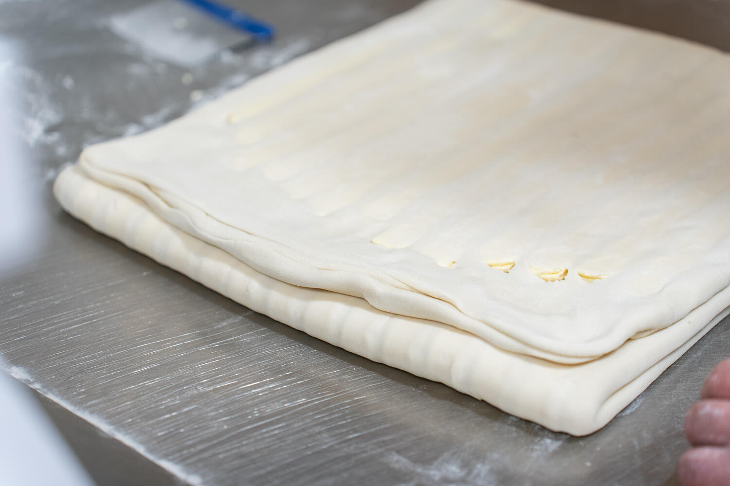 Baker Express Web5 Kakapo Business Sales