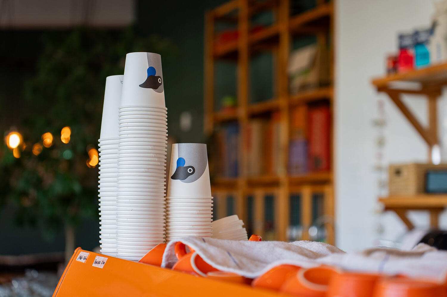 Source Web9 Kakapo Business Sales