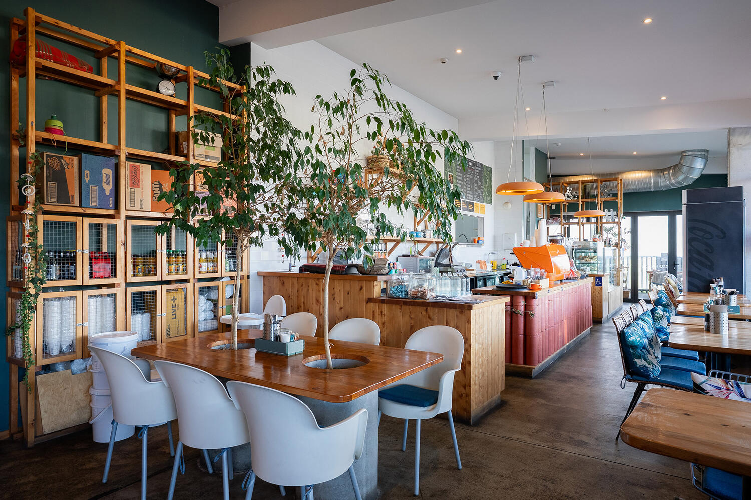 Source Web12 Kakapo Business Sales