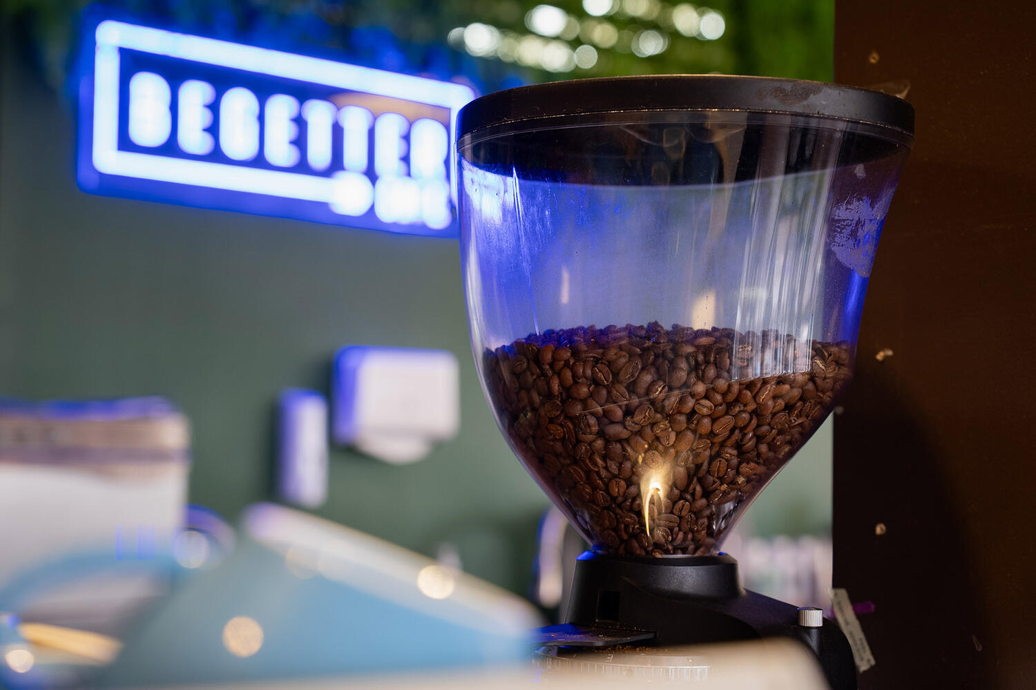 Begetter Cafe Web3 Kakapo Business Sales