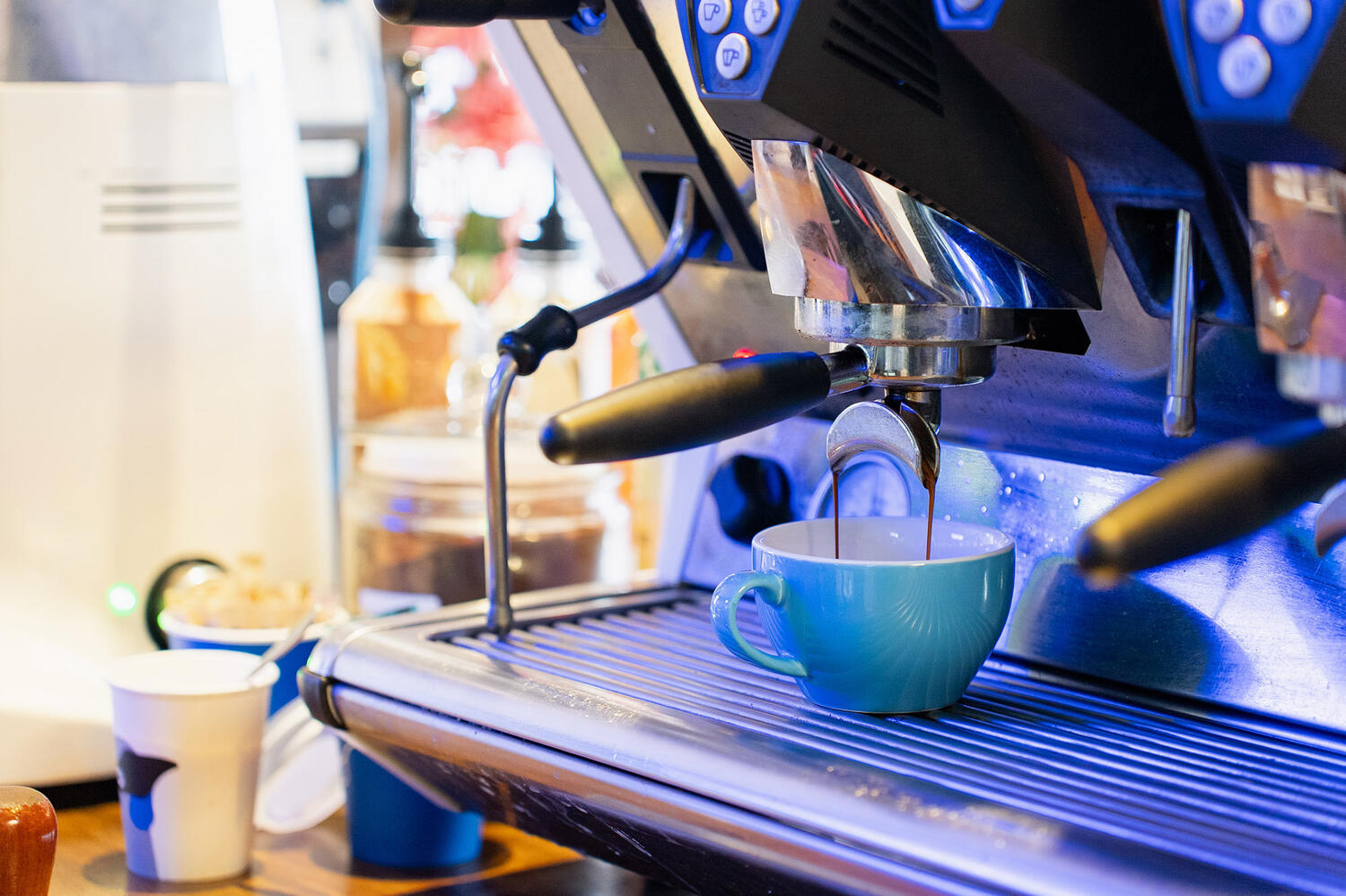 Begetter Cafe Web4 Kakapo Business Sales