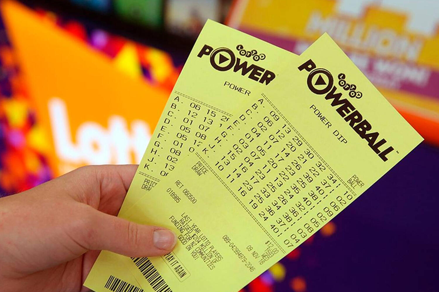 Nawton Lotto Web1 Kakapo Business Sales