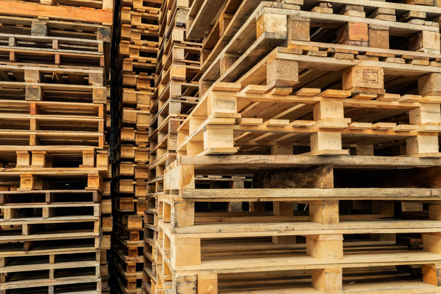 Pallet Racking Web1 Kakapo Business Sales