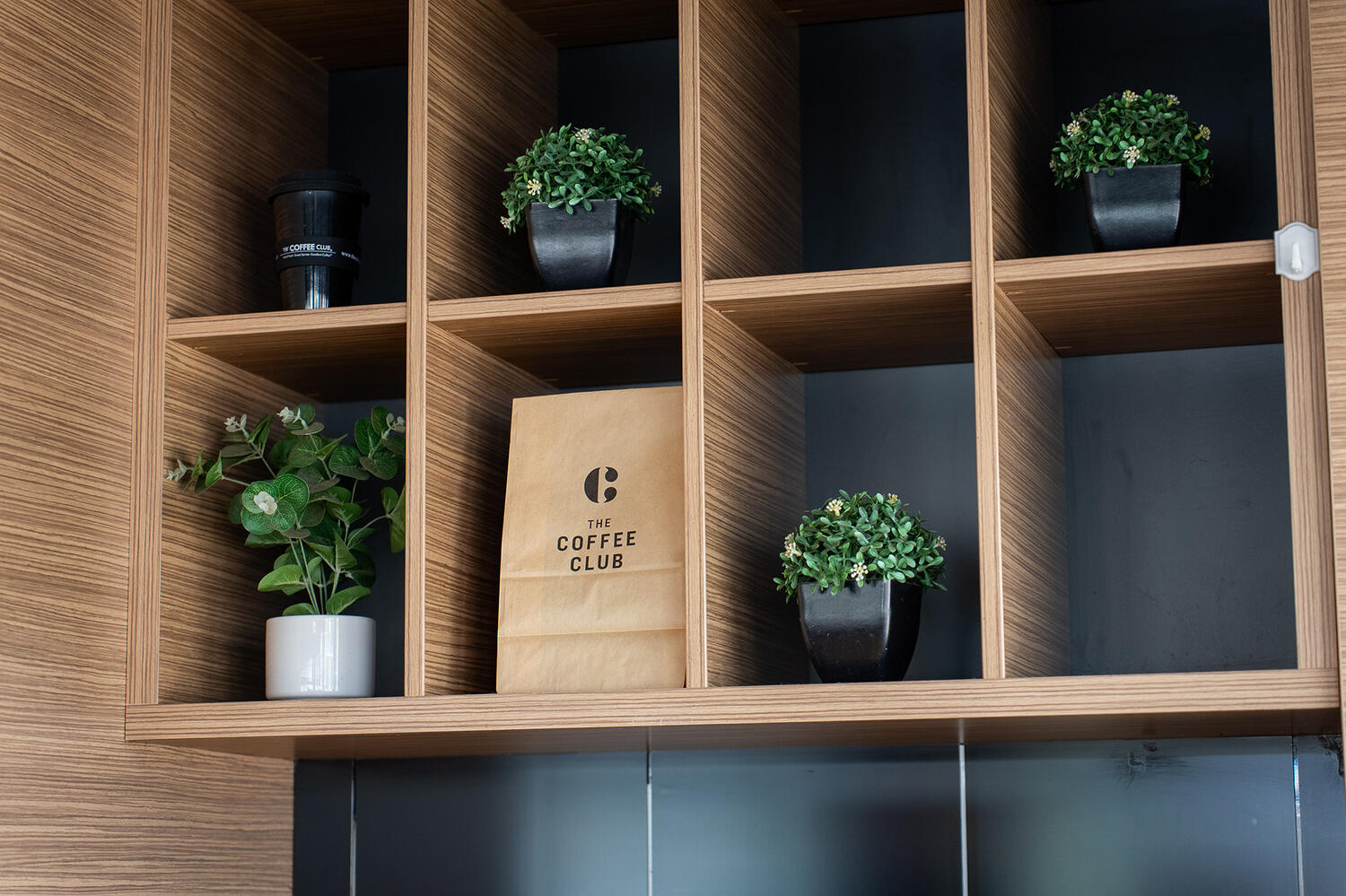 Coffee club Avondale Web3 Kakapo Business Sales