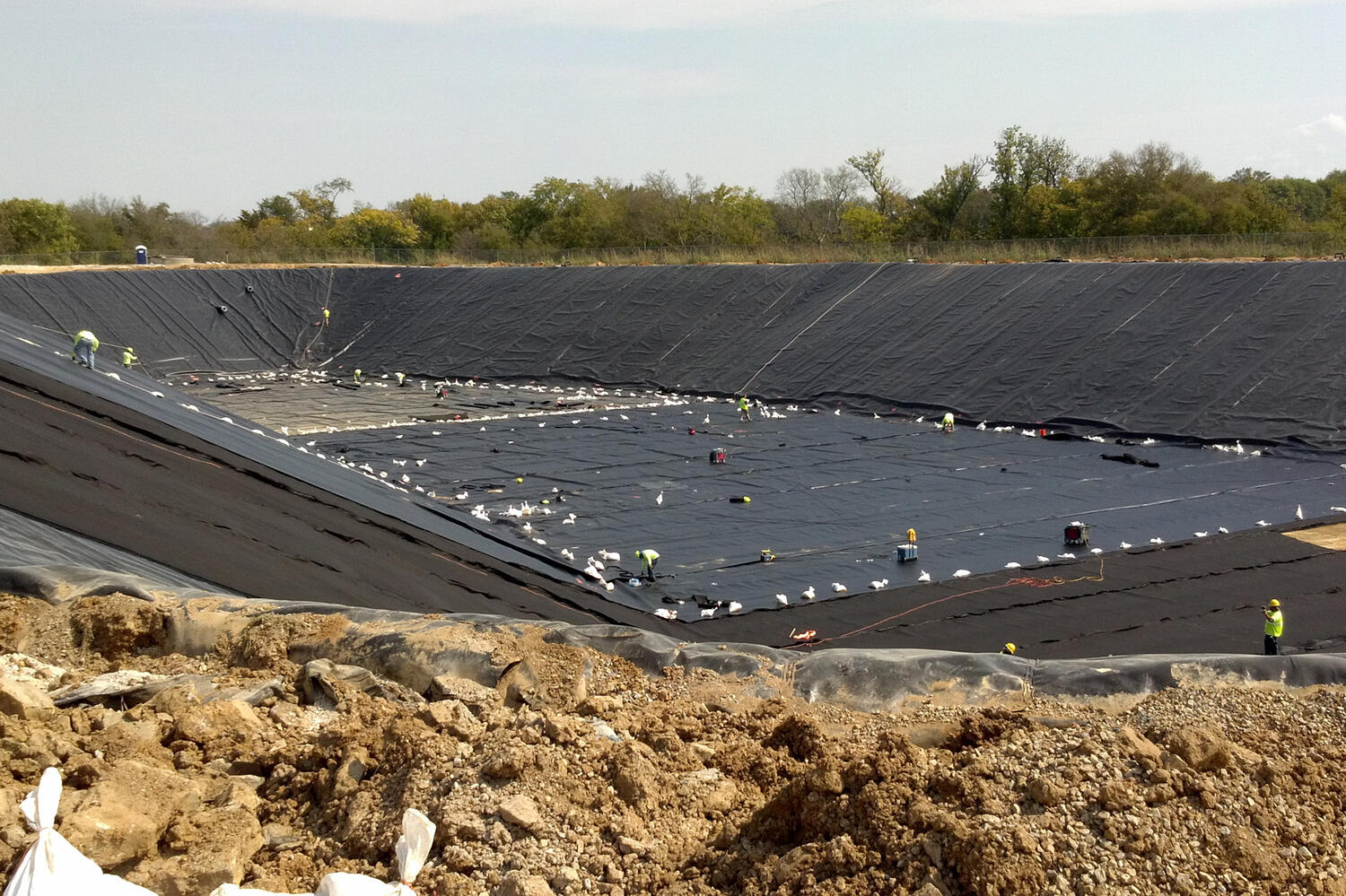 Enviromental Web1 Kakapo Business Sales