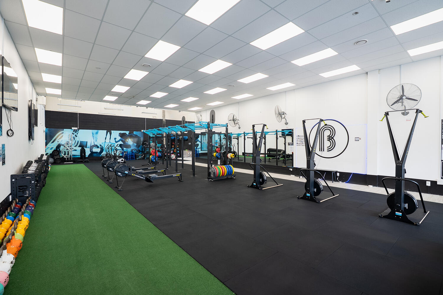 BFT Eastern Bays Web1 Kakapo Business Sales