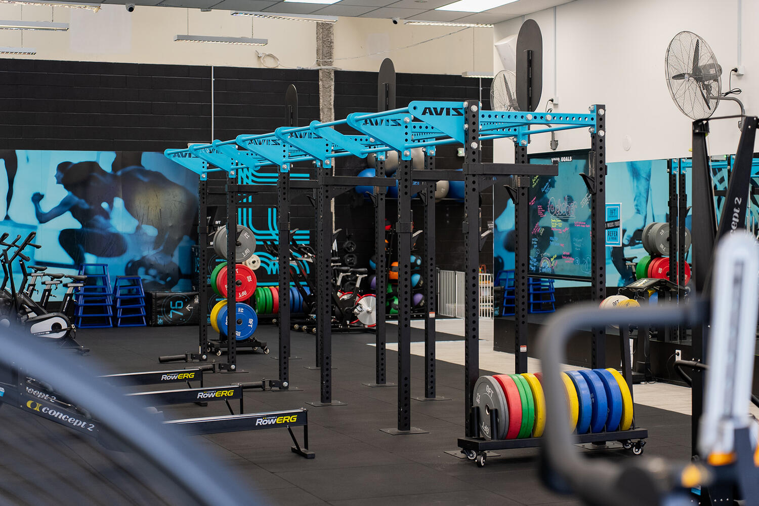 BFT Eastern Bays Web4 Kakapo Business Sales