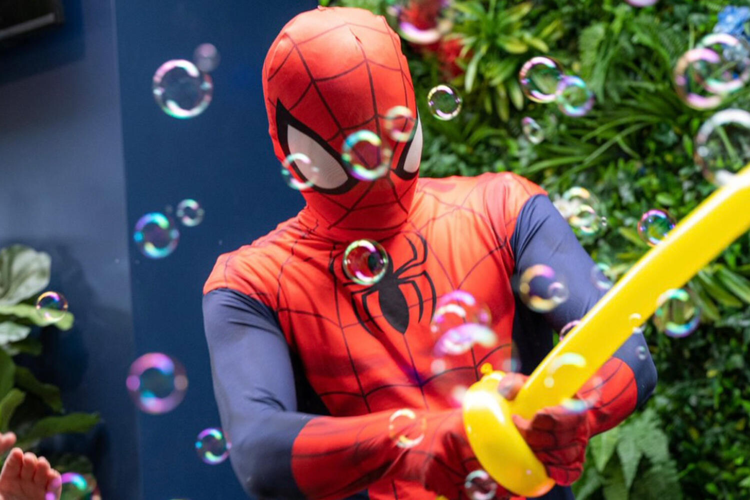 Rainbow Kids Parties Web1 Kakapo Business Sales