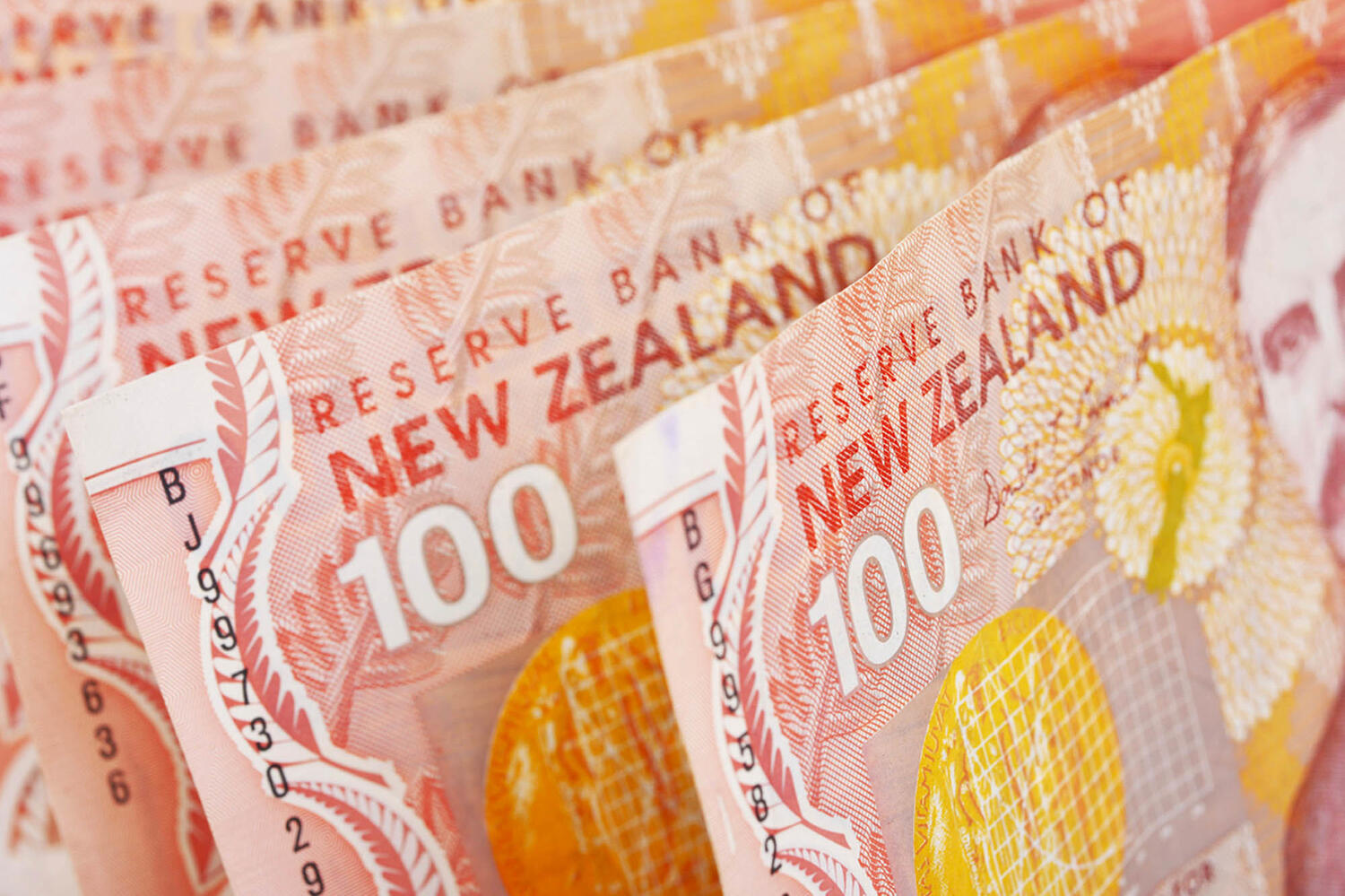 Cashflow King - Kakapo Business Sales