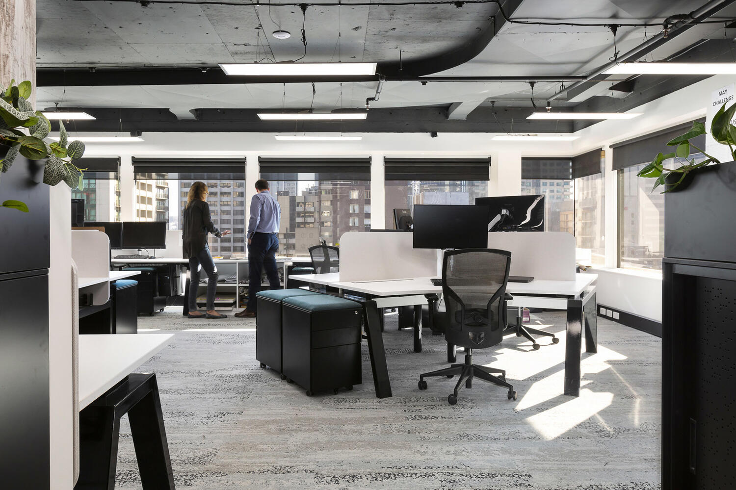 Pristine Web Kakapo Business Sales