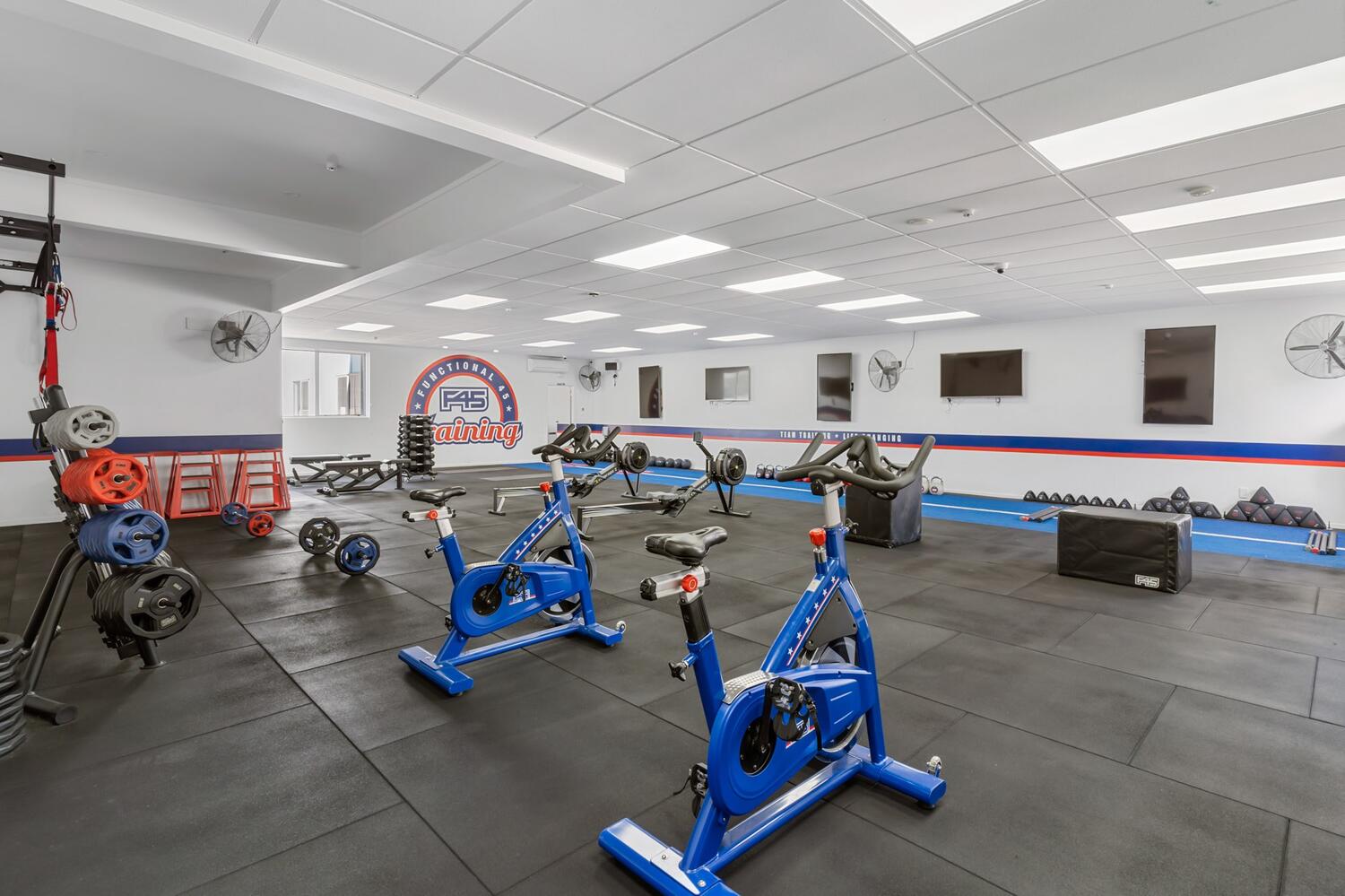 F45 Glen Eden Web4 Kakapo Business Sales