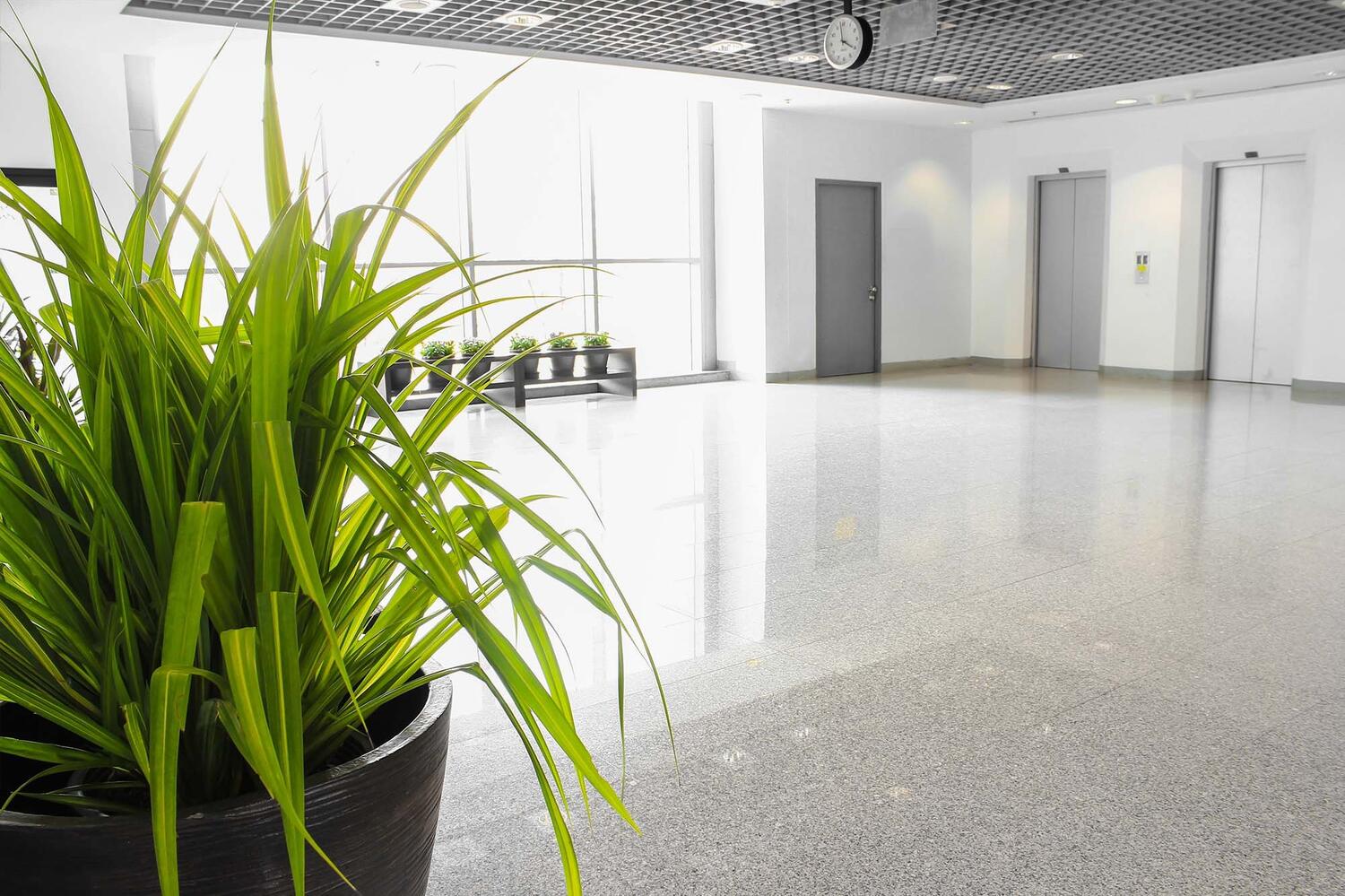 F Cleaning Biz Web2 Kakapo Business Sales