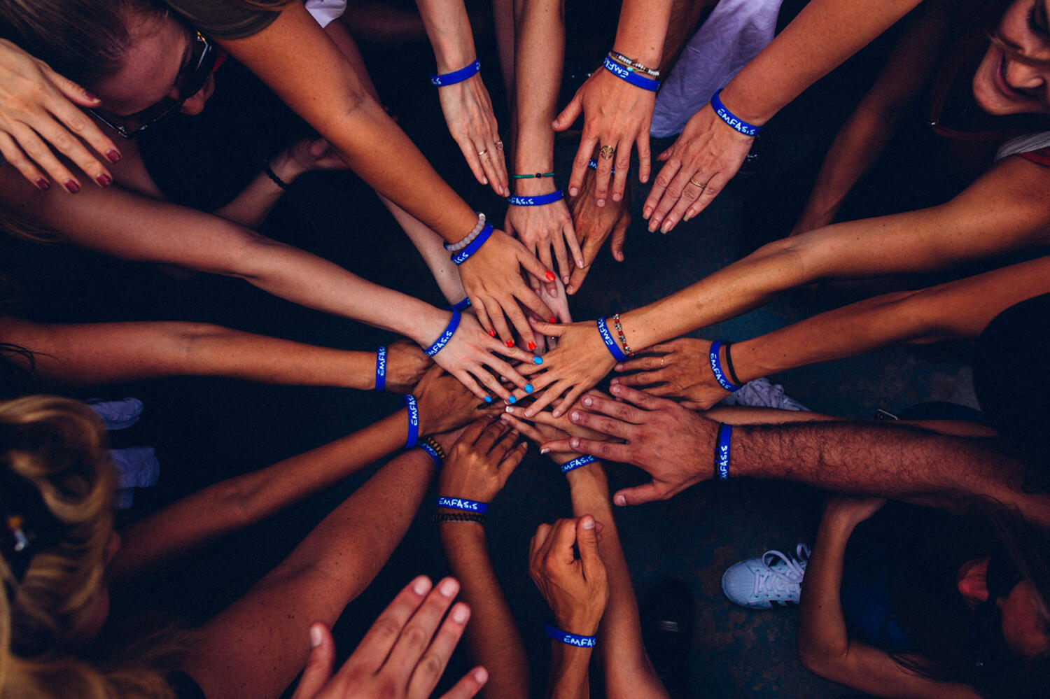 Taggs R Us Web1 Kakapo Business Sales