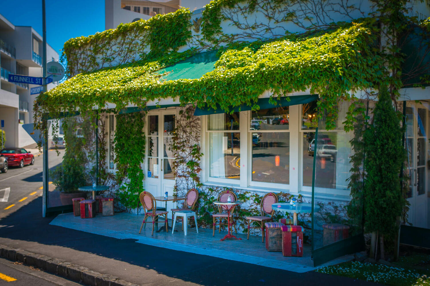 Queenies Web1 Kakapo Business Sales