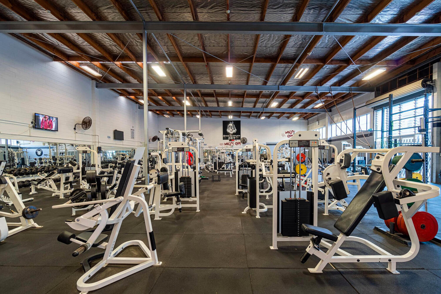 Wolfs Gym Web6 Kakapo Business Sales