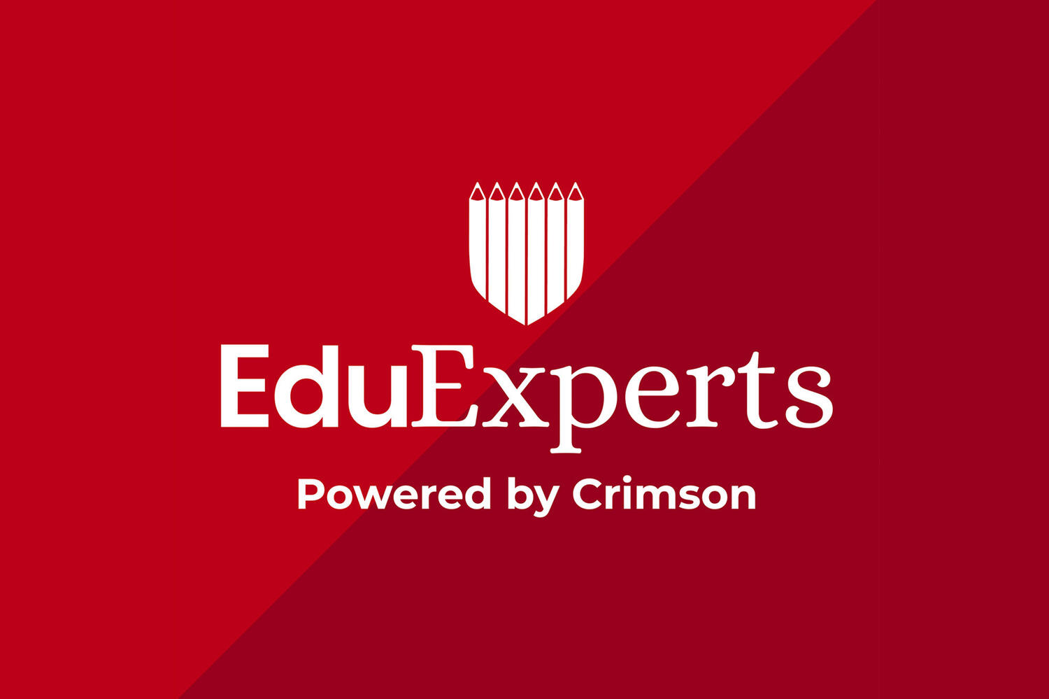 Edu Experts Browns Bay Web11 Kakapo Business Sales