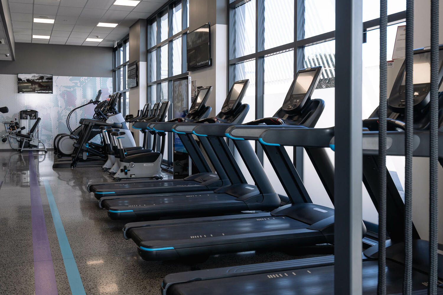 Anytime Fitness Hamilton Web4 Kakapo Business Sales