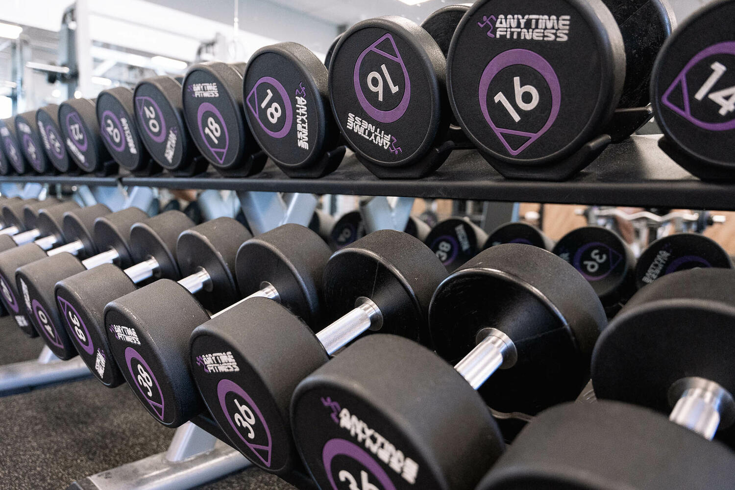 Anytime Fitness Hamilton Web5 Kakapo Business Sales
