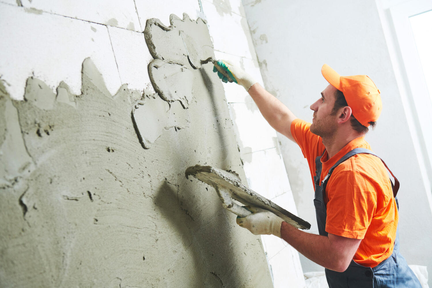 Plastering Web1 Kakapo Business Sales