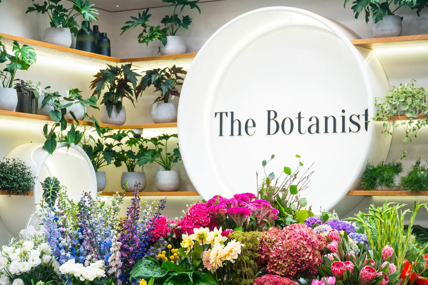 Botanist Web2